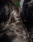 Halter Ego® Black Patent Thea Dog Collar