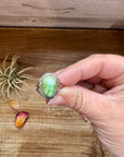 Small Ring- size 6 - Sonoran Gold Turquoise & Sterling Silver