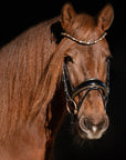 Geneva - Black Patent Snaffle Bridle with Metallic Gold Piping with Removable Flash