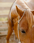 Hand Tied Rope Headstall