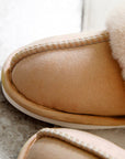 Molly Plush Suede Winter Home Slippers
