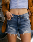 The Delly Denim Shorts