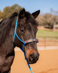 Blue Mule Tape Halter - Feathers and Turquoise