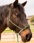 Green and Black Mule Tape Halter with Lariat Noseband