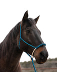 Blue and Black Mule Tape Halter with Lariat Noseband