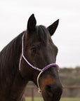 Purple and White Mule Tape Halter with Lariat Noseband