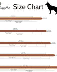 ExionPro Silver Clincher Padded Leather Dog Collar - Brown Padding