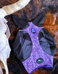 Dash for Cash (Purple) Fly Mask