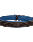 ExionPro Fancy Stitched Padded Leather Dog Collar - Blue Padding