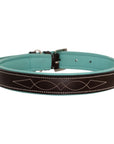 ExionPro Fancy Stitched Padded Leather Dog Collar - Sky Blue Padding