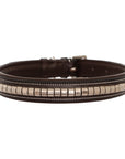 ExionPro Silver Clincher Padded Leather Dog Collar - Brown Padding