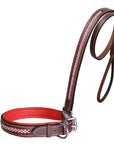 ExionPro Red Bling Padded Dog Collar With Dog Leash