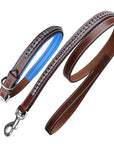 ExionPro Dark Blue Bling Dog Collar With Leash