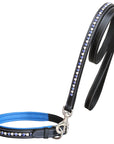 ExionPro White & Blue Bling Dog Collar With Leash
