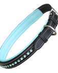 ExionPro Blue Bling Dog Collar