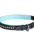 ExionPro Blue Bling Dog Collar