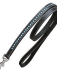 ExionPro Blue Bling Dog Leash