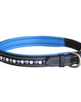 ExionPro White & Blue Bling Dog Collar