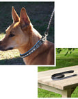 ExionPro White & Blue Bling Dog Leash