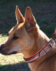 ExionPro Red Bling Padded Dog Leash