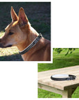 ExionPro Black Bling Dog Collar