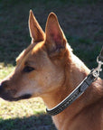 ExionPro Black Bling Dog Leash