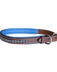 ExionPro Dark Blue Bling Dog Collar