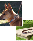 ExionPro Dark Blue Bling Dog Leash