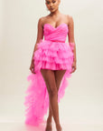 Pretty Little Tulle Dress