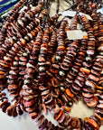 22 inch purple spiny graduated & shell