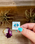 Triangle Kingman Turquoise Stud Earrings – Sterling Silver – Zuni Native Made