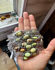 16-Inch Lemon Turquoise Magnesite Necklace with Sterling Saucer Pearls
