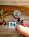 Small Cluster Earrings – Blue Kingman Turquoise & Sterling Silver