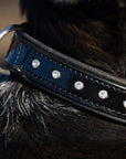 Halter Ego® Black Patent Celebrity Dog Collar