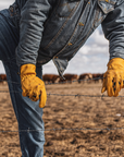 Heavy Duty Cowhide Driver Gloves