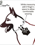 ExionPro Silver Clincher Padded Leather Dog Collar - Conker Padding