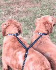 Dual Bungee Leash Add-On