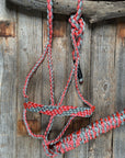 Mule Tape Halters - Two Tone Assorted Colors-