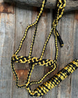 Gold and Black Mule Tape Halter