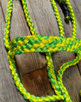 Yellow and Lime Mule Tape Halter