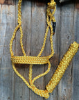 Gold Mule Tape Halter