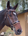 Florence - Brown Patent Leather Double Bridle with Cream Padding & Rose Gold Piping
