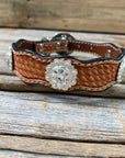Leather Dog Collar With Bright Silver Clear Conchos 10" to 22" -DC1
