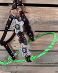 Honeycomb Tooled Lariat & Leather Combo Halter