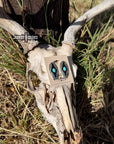 Saguaro Drifter Studs