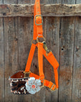 Orange Nylon Horse Halter – Bronc Noseband with Crystal Conchos NH111