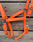 Orange Nylon Horse Halter NHORA