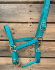 Teal Nylon Horse Halter NHTEAL