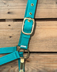 Teal Nylon Horse Halter NHTEAL