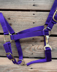 Purple Nylon Horse Halter NHPUR